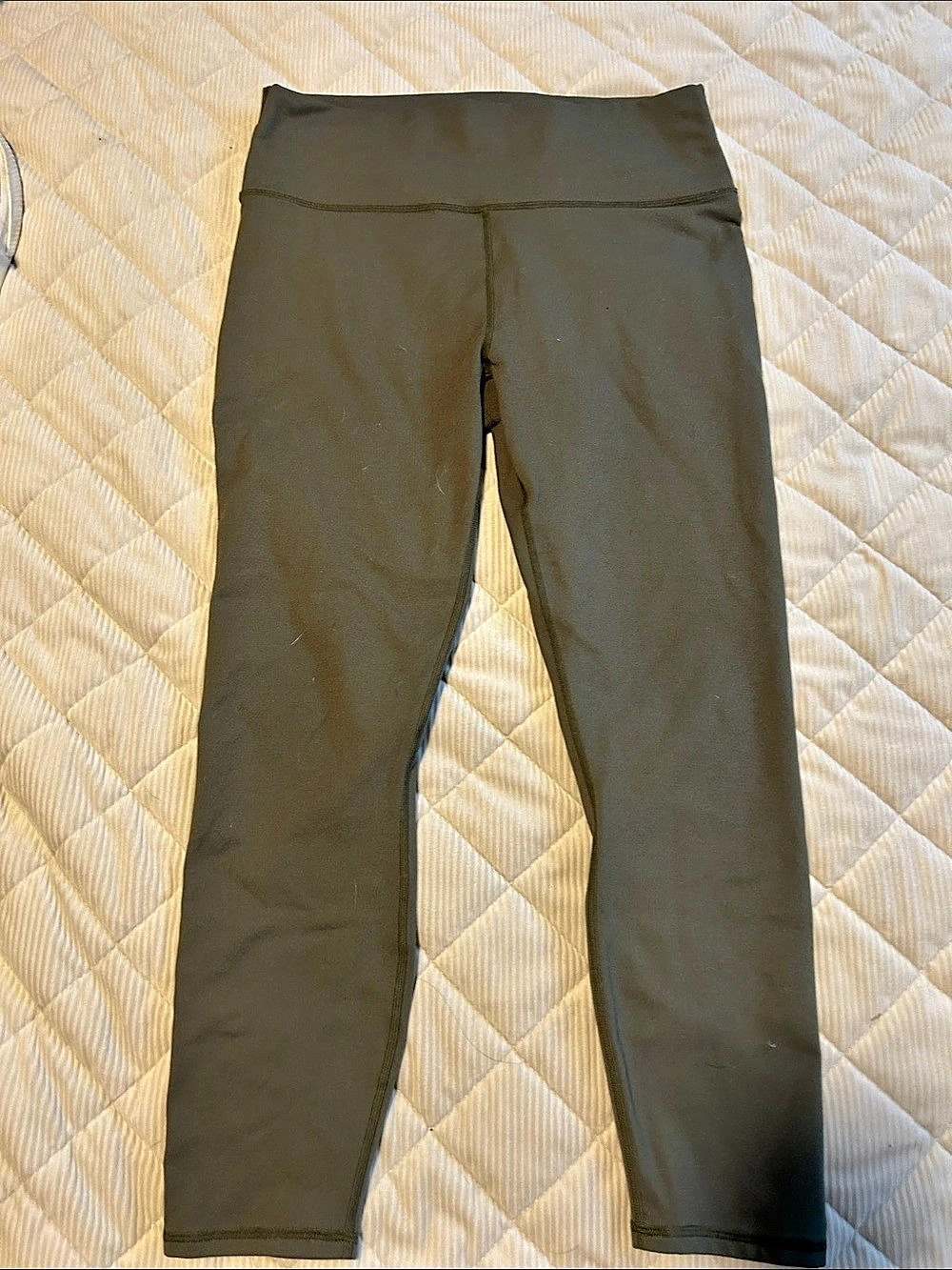 Fabletics Align High-Rise Pant full length Green Leggings